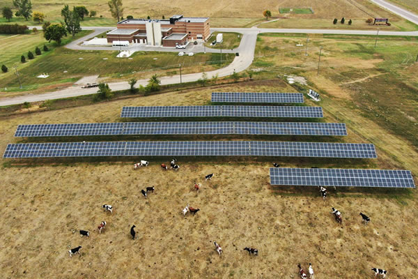 UMN Morris Solar Array